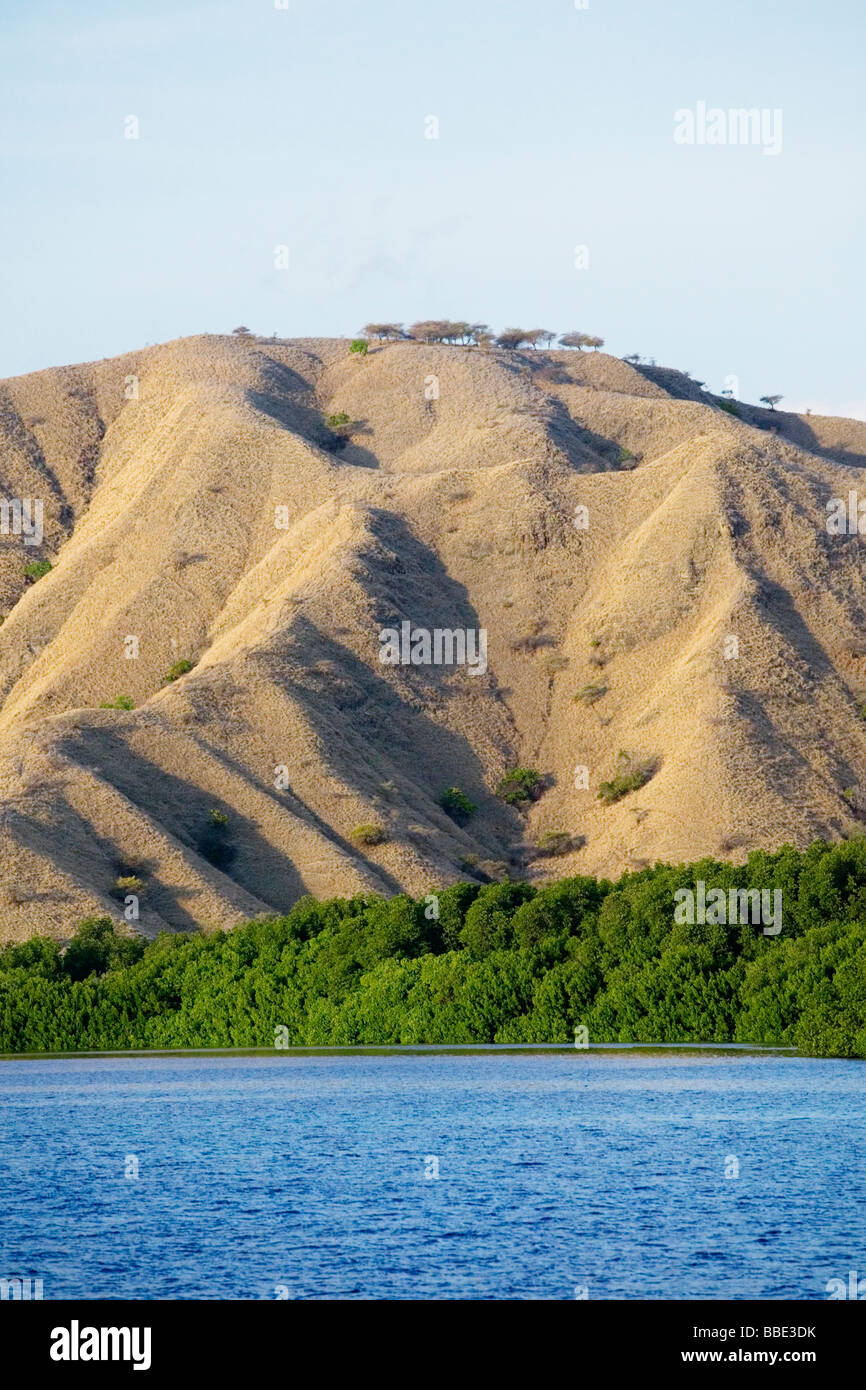A view of Komodo island, Indonesia. Komodo is famous for it's huge reptiles, 'Komodo dragons'. Stock Photo