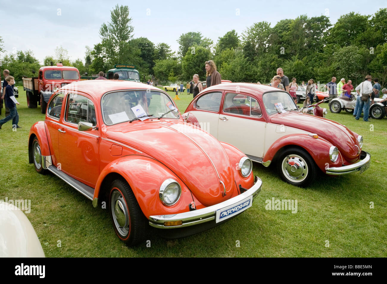 A pair of Volkswagon Beetles on display at Wallingford Classic car Rally, Oxfordshire, UK Stock Photo