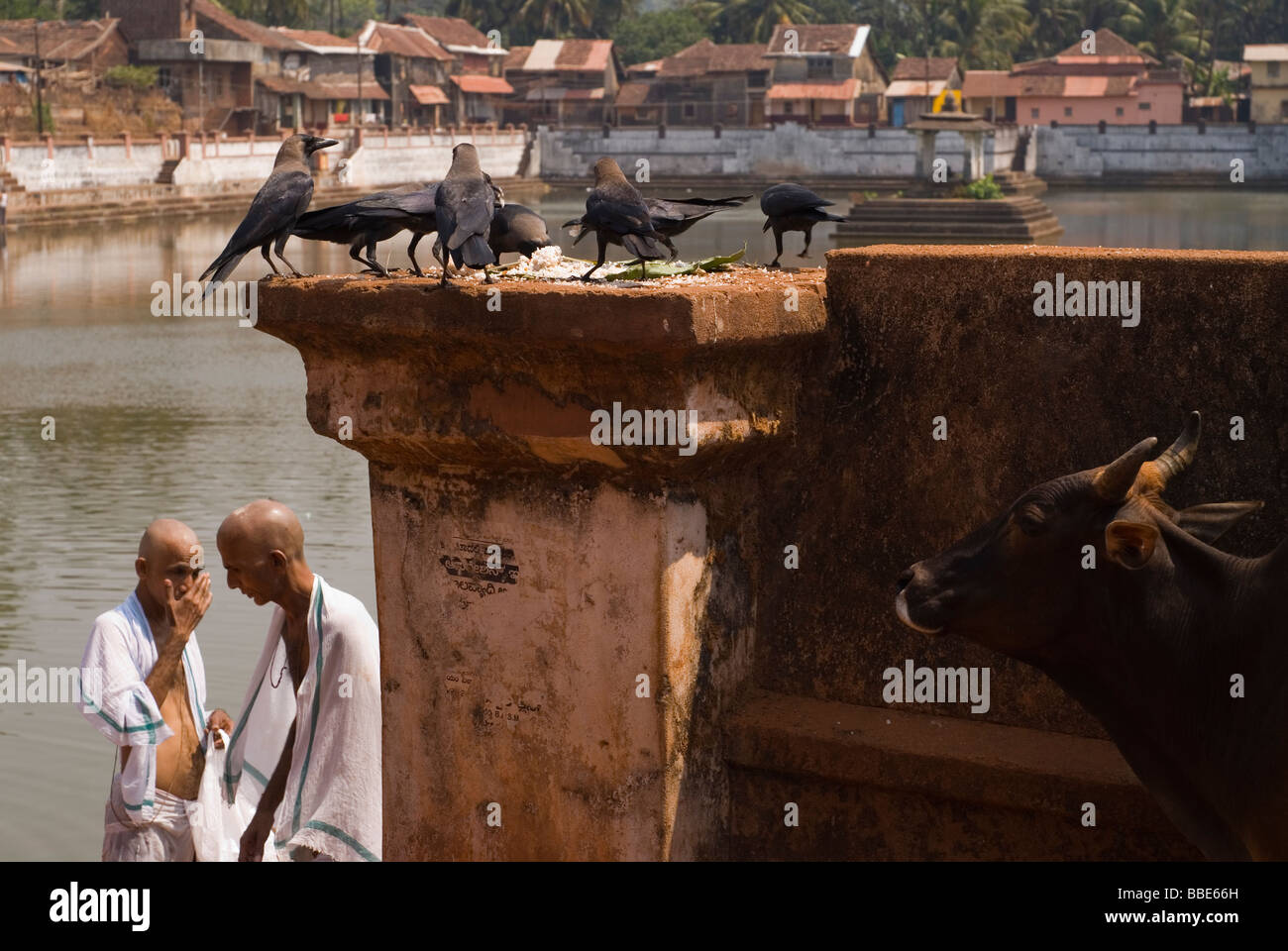 Two brahmin conversing near the sacred bathing pool in Gokarna, India. Shiva linga in the background is one of the most sacred. Stock Photo