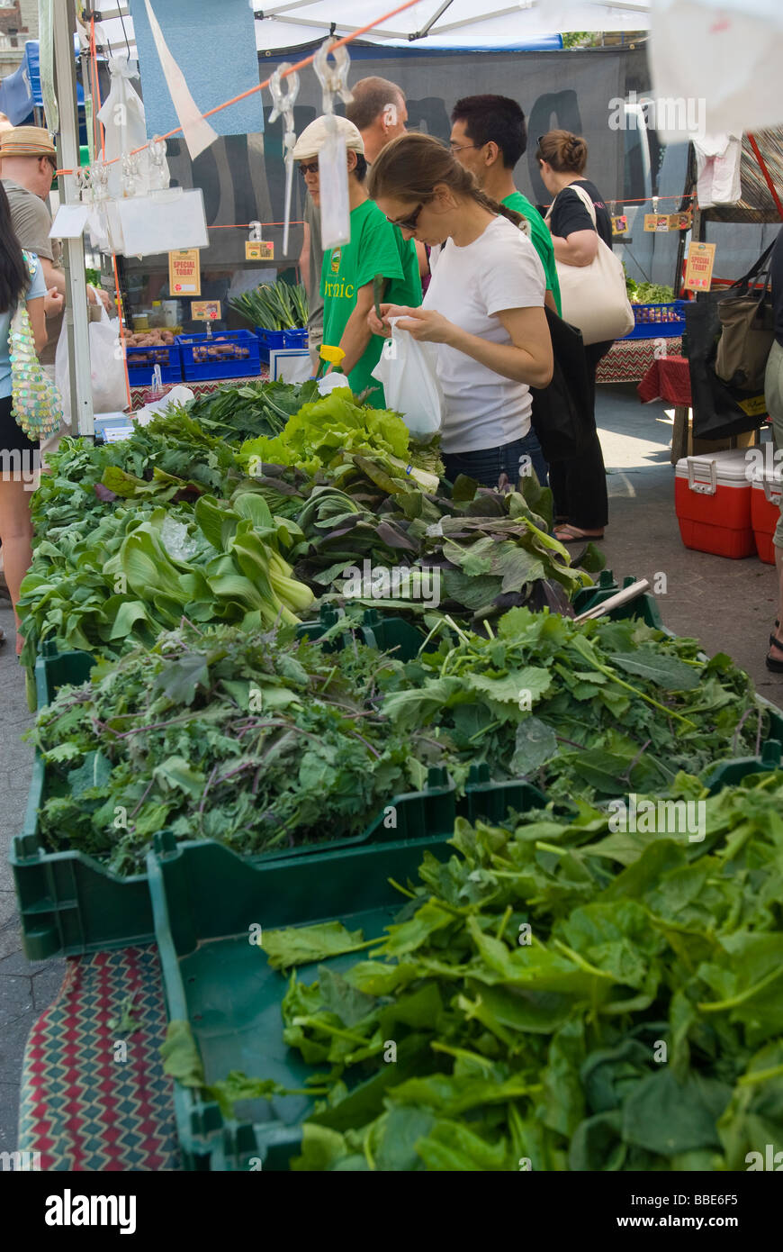 Mesclun hires stock photography and images Alamy