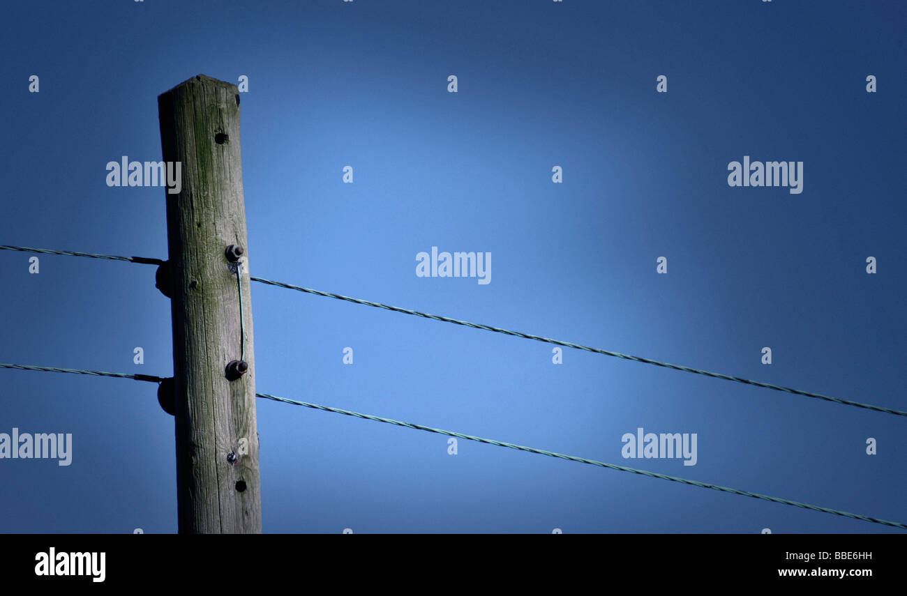 telephone wires  attached to wooden pole Stock Photo