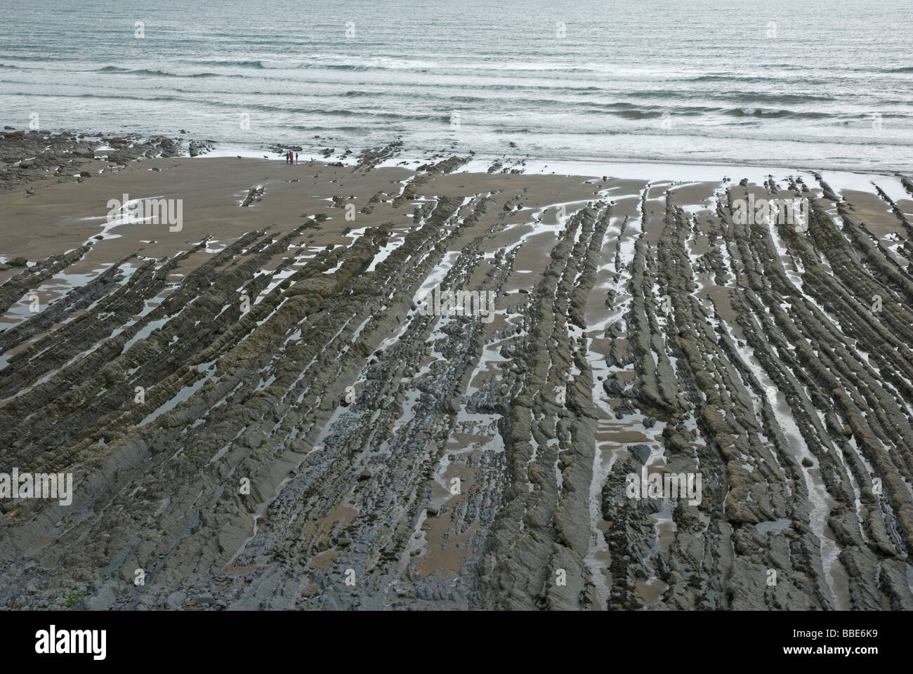 Erosion of tilted rock strata on the north Devon coast near Mouth Stock Photo Alamy
