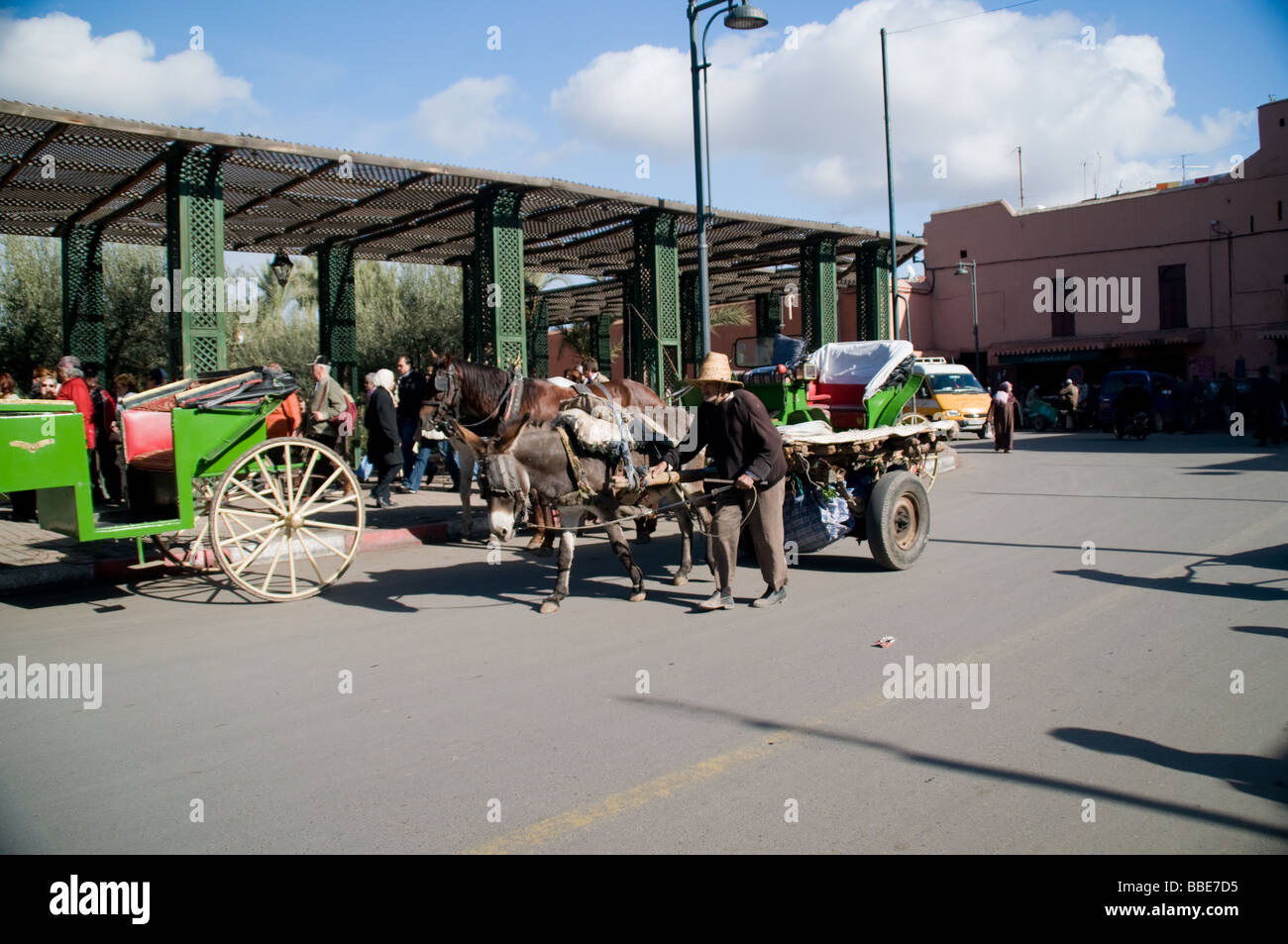 A donkey used to transport goods in Djemma El Fna Square in Marrakesh, Morocco Stock Photo