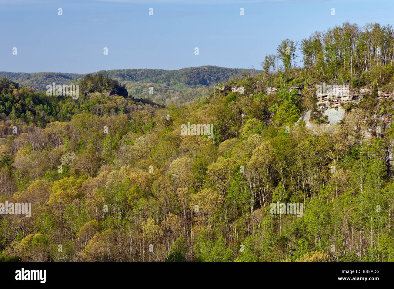 Great Gulf Overlook in Daniel Boone National Forest Kentucky Stock