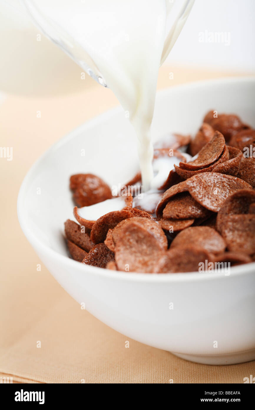 Chocolate cereal with milk Stock Photo Alamy