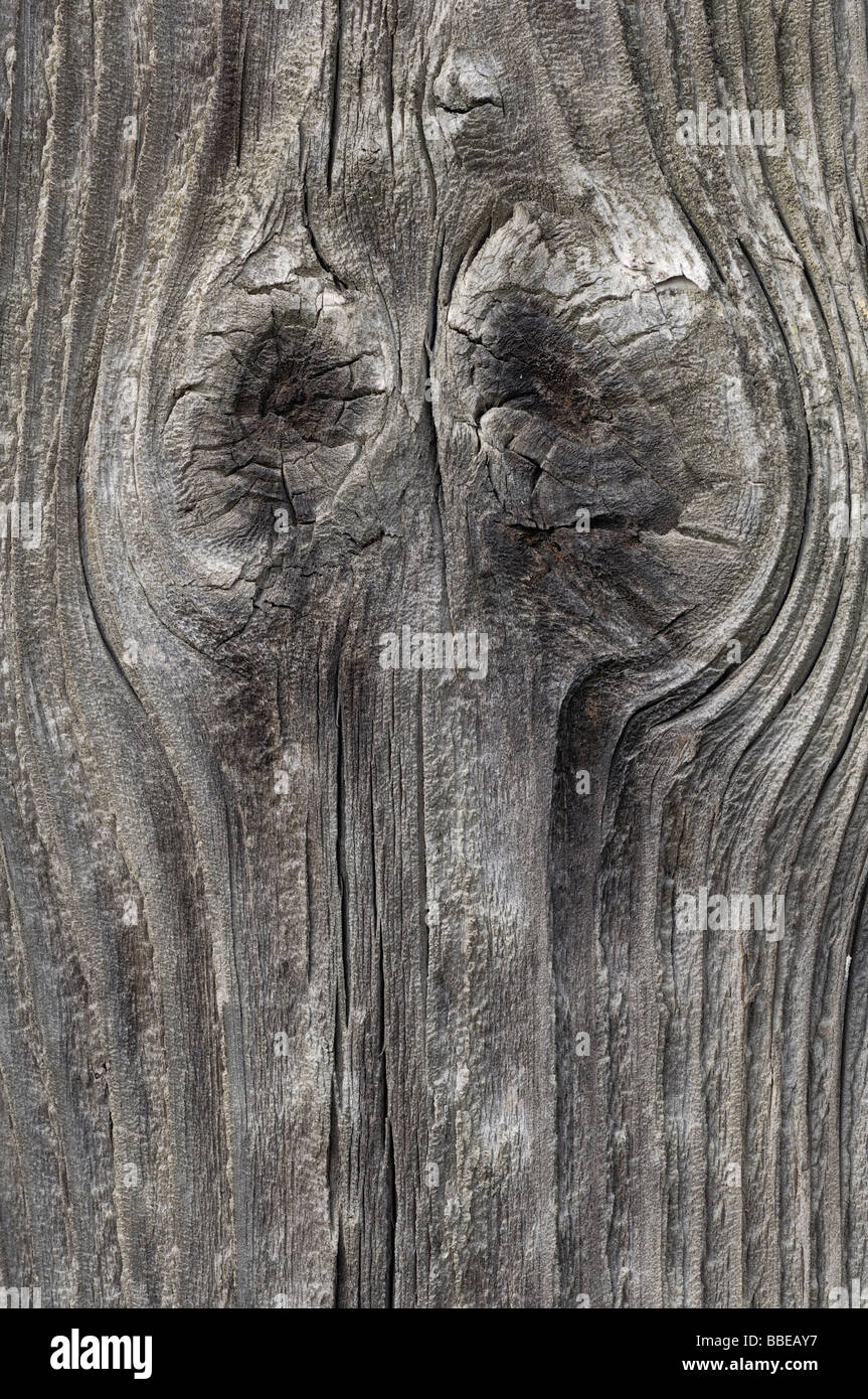 Knots in Wood Stock Photo