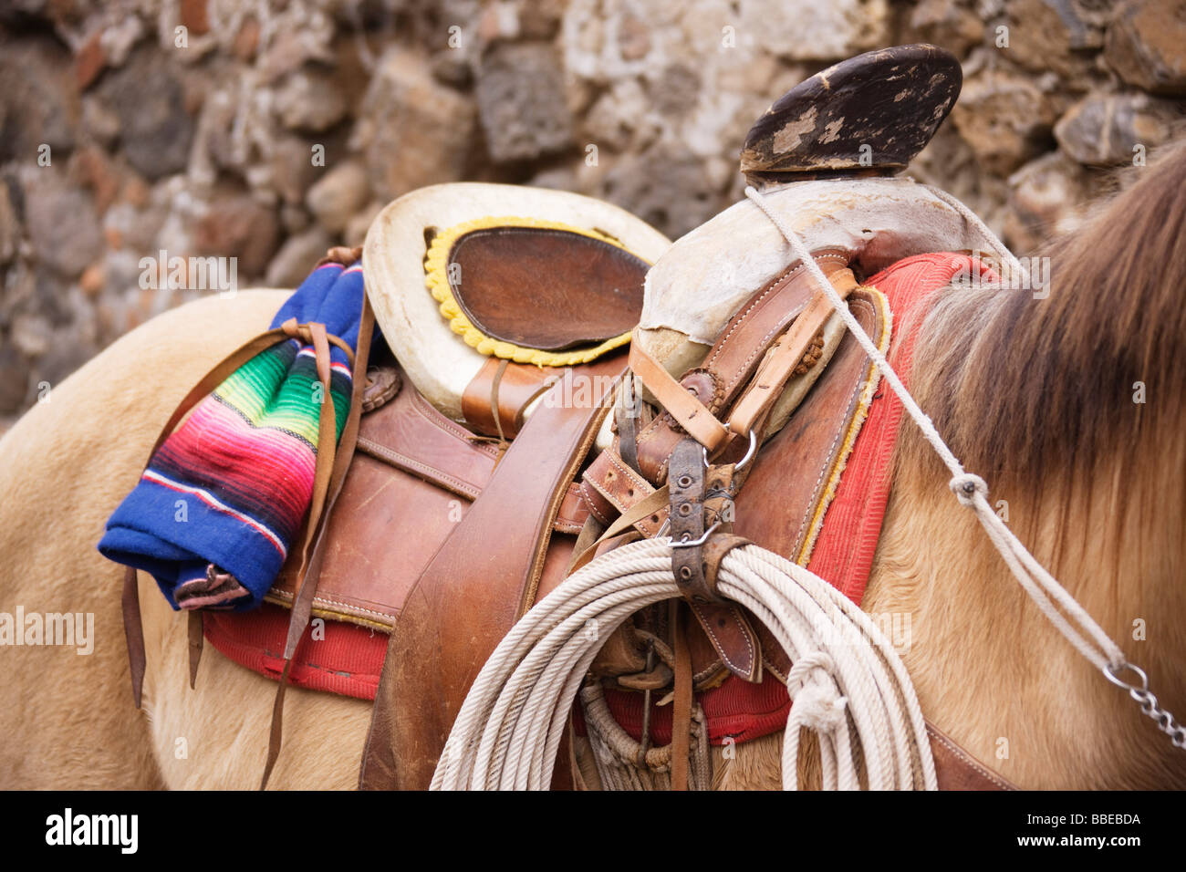 Mexican saddle hires stock photography and images Alamy