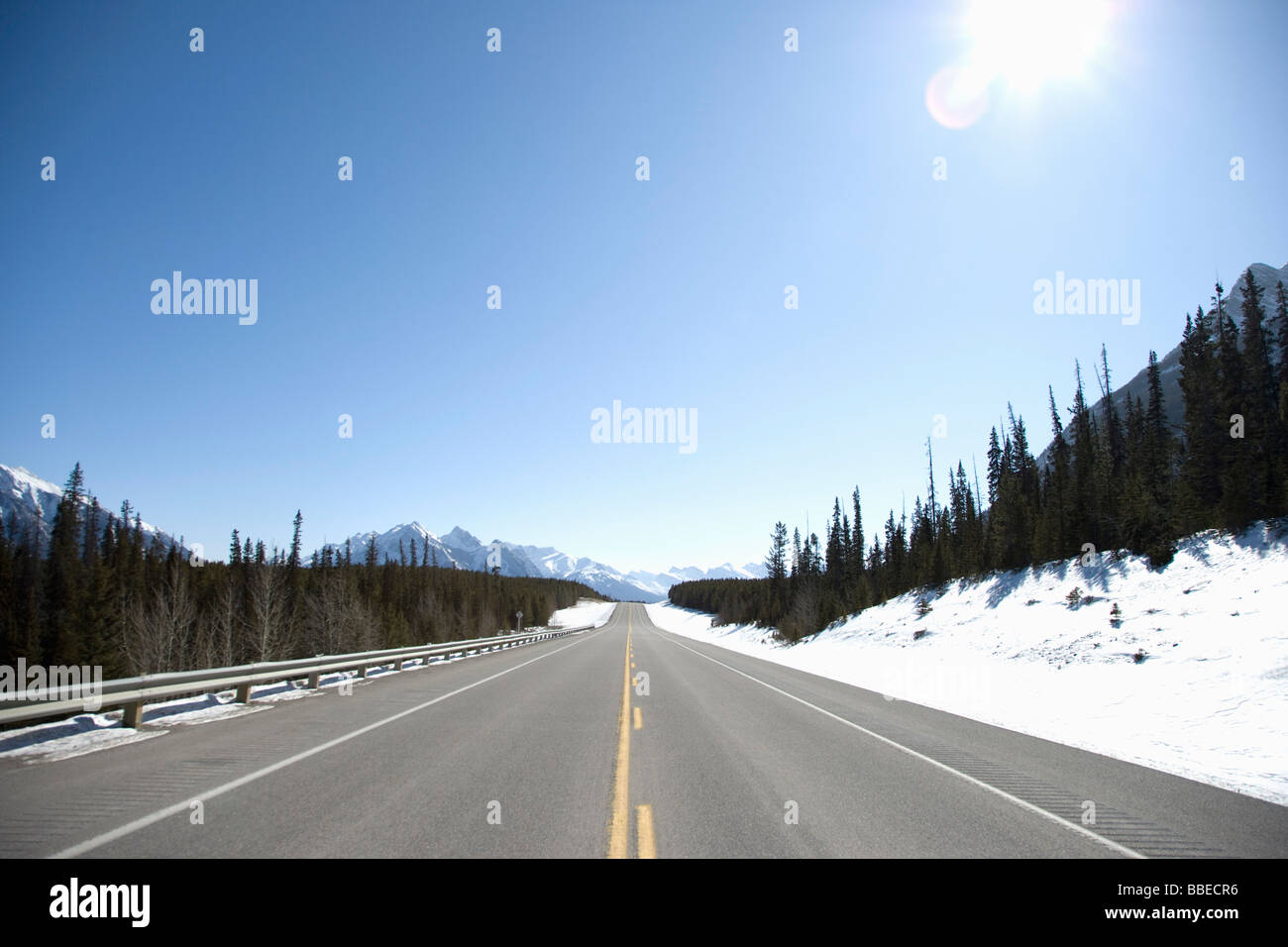David Thompson Highway, Banff National Park, Canadian Rockies, Alberta, Canada Stock Photo
