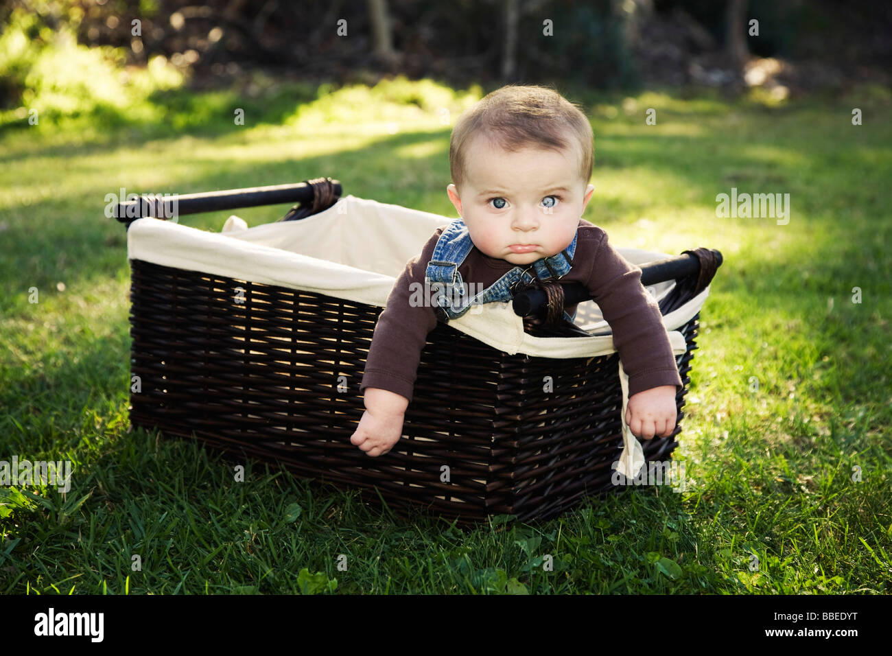 Baby Boy in Basket Stock Photo Alamy
