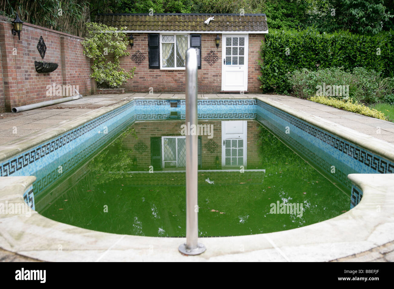 Green Water in Swimming Pool Stock Photo