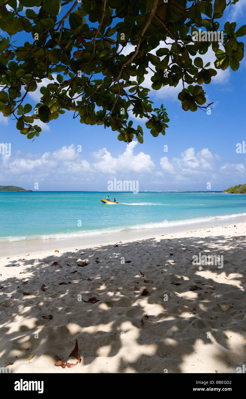 WEST INDIES Caribbean Grenadines Grenada Carriacou Paradise Beach in L'Esterre Bay. Mabouya and 