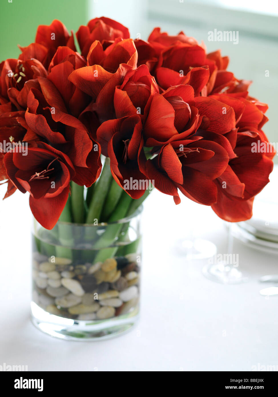Detailed floral images hi-res stock photography and images - Alamy