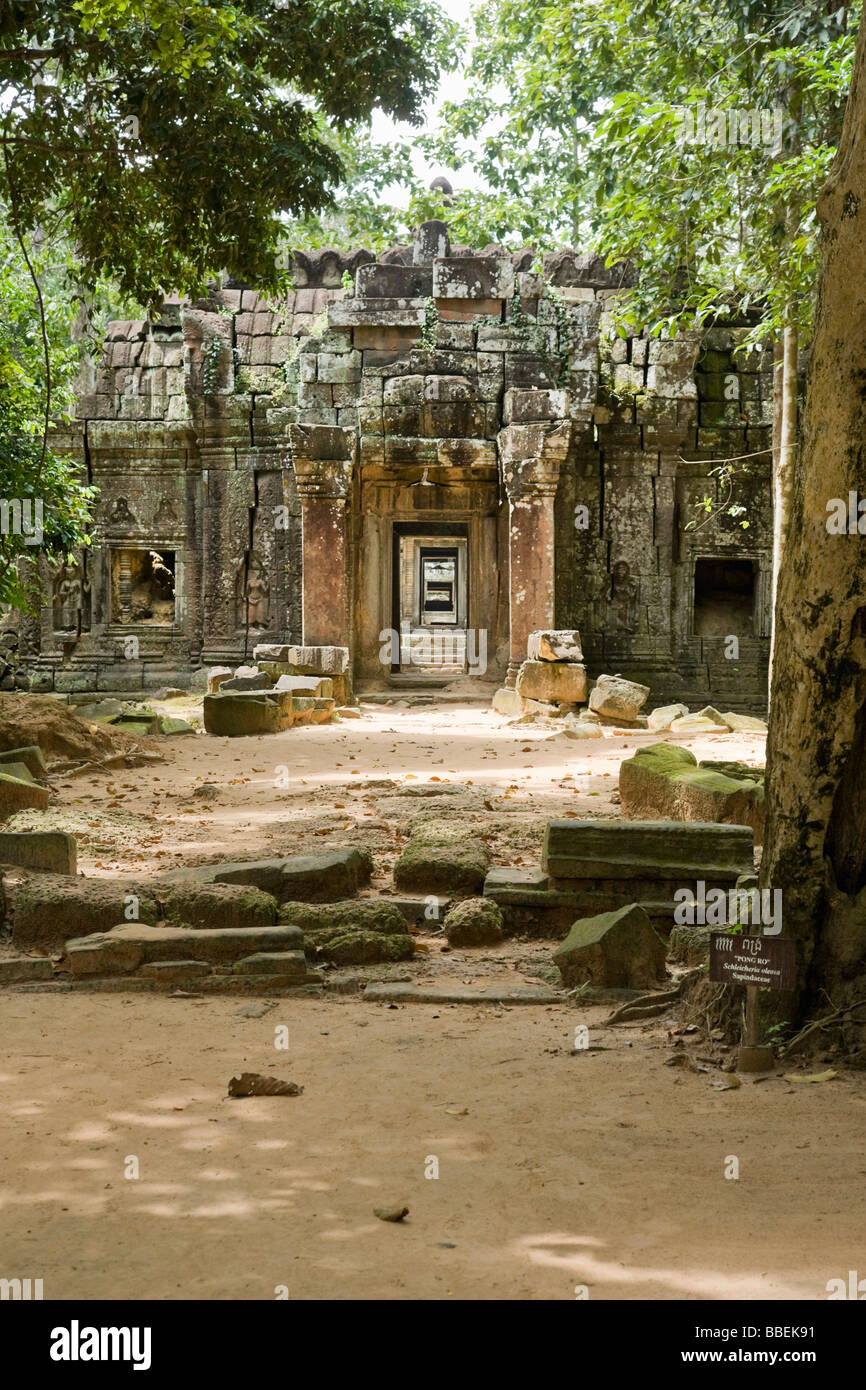 Ta Som Temple, Angkor, Cambodia Stock Photo - Alamy