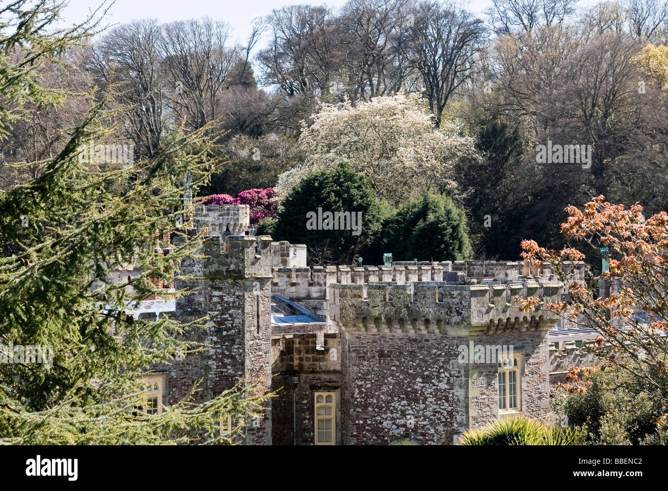 Caerhays Castle and garden; home to the national Magnolia Collection Stock Photo