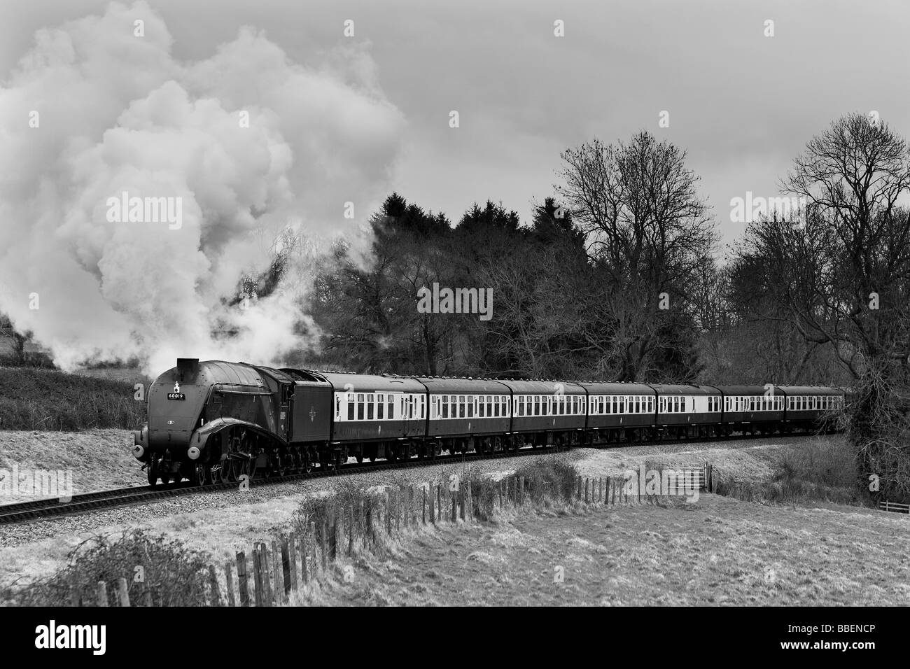 A4 60019 'Bittern' passes Trebles Holford on the West Somerset Railway Stock Photo