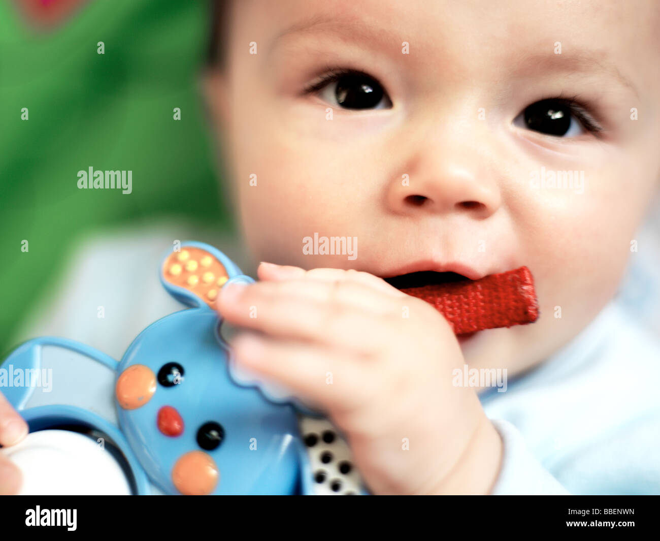 Seven month old baby boy chewing toy Stock Photo