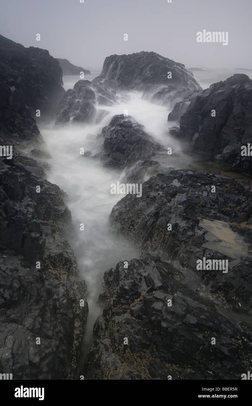Seal Rock Oregon High Resolution Stock Photography and Images Alamy