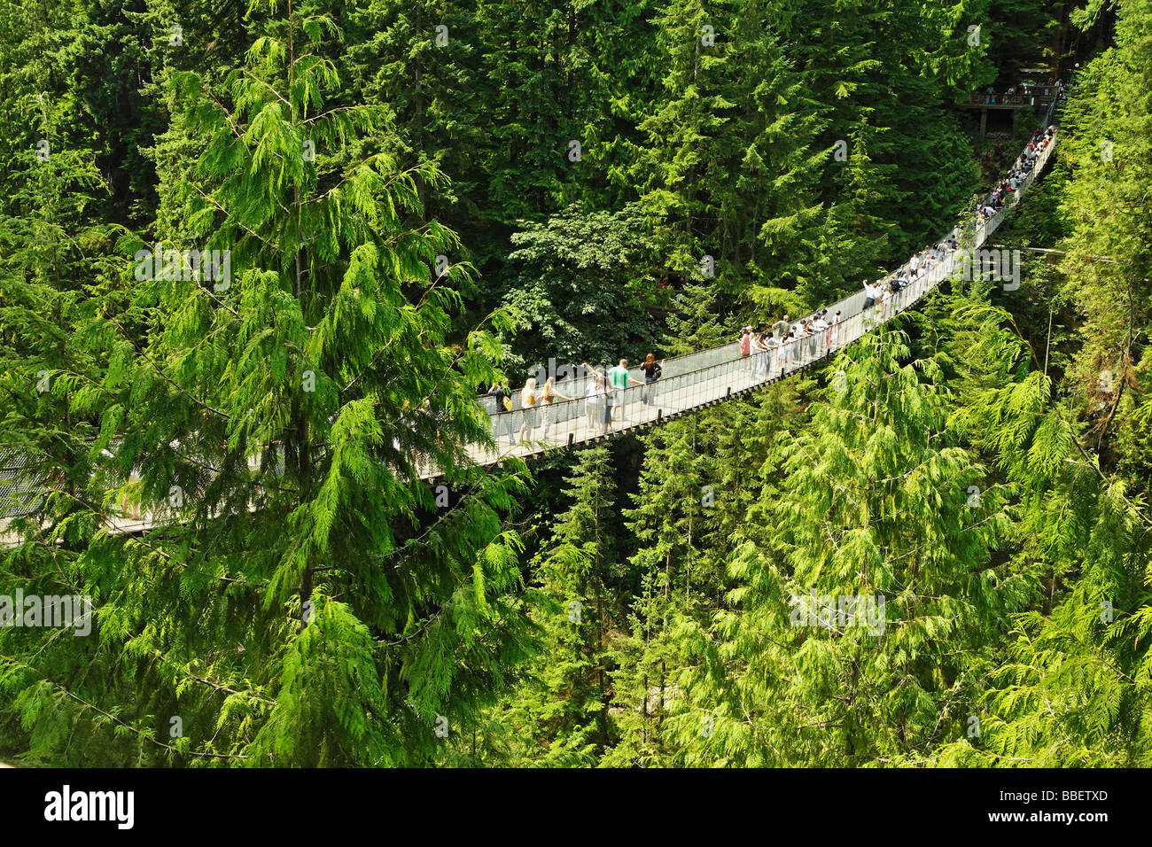 Tourists walk the long span of the Capilano Suspension Bridge Vancouver
