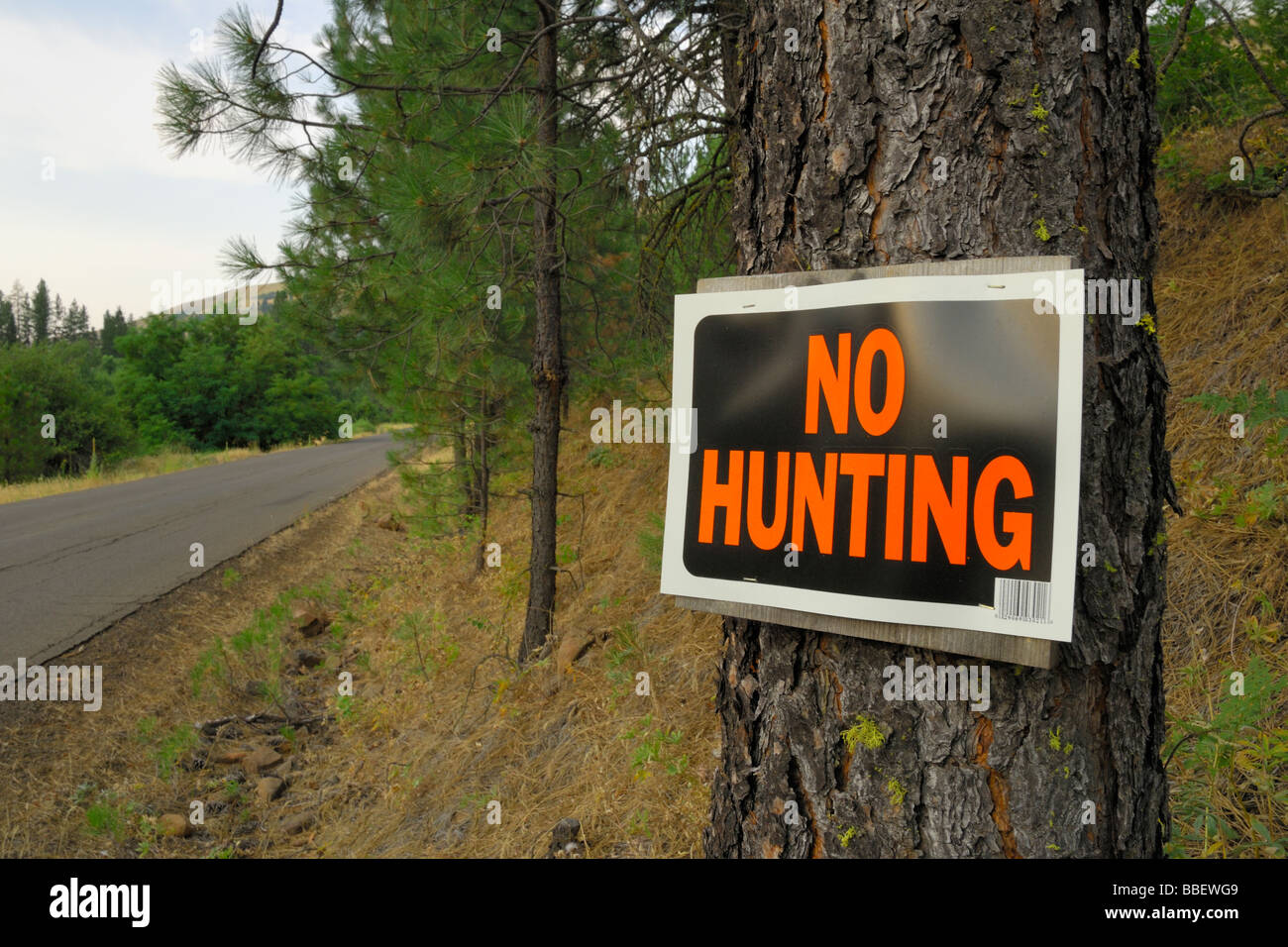 "No Hunting" sign affixed to a tree Stock Photo Alamy