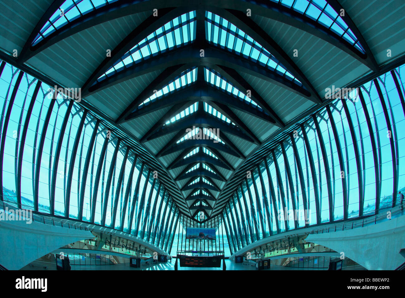 TGV station at Lyon airport by architect Santiago Calatrava Lyon Rhone Alps France Stock Photo