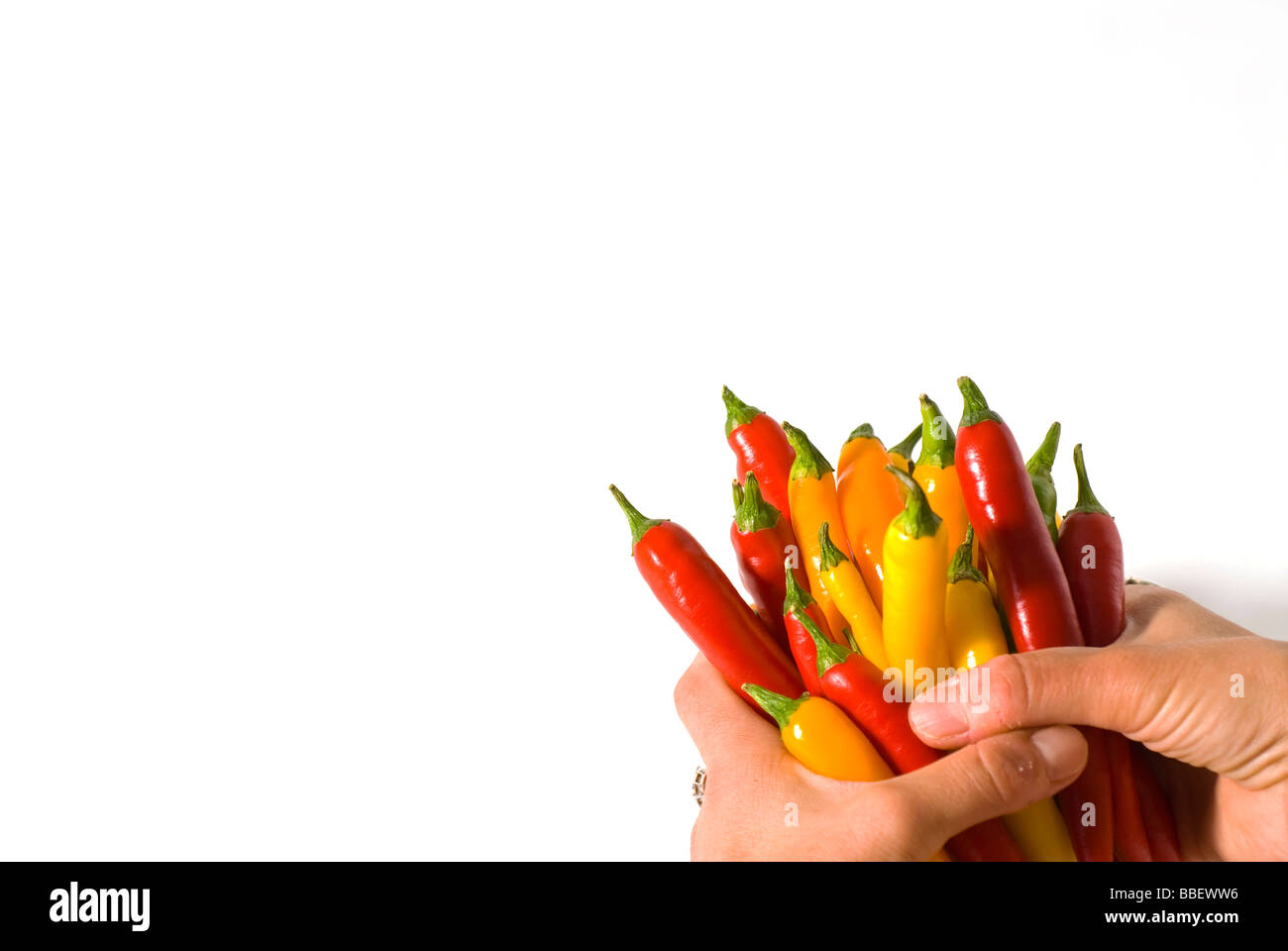 Hands holding a bunch of hot peppers on a white background Stock Photo