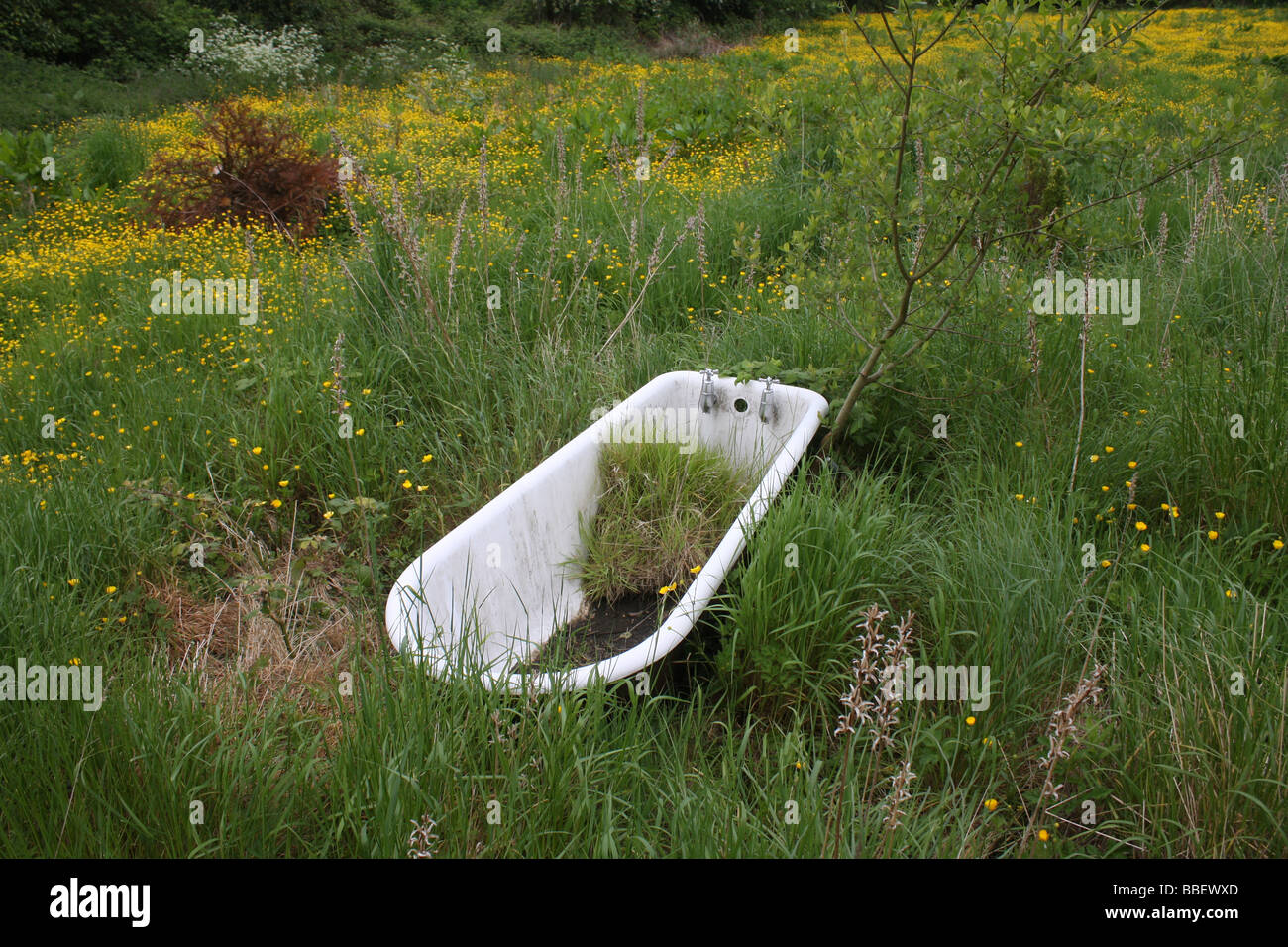 Old bath in garden Stock Photo Alamy