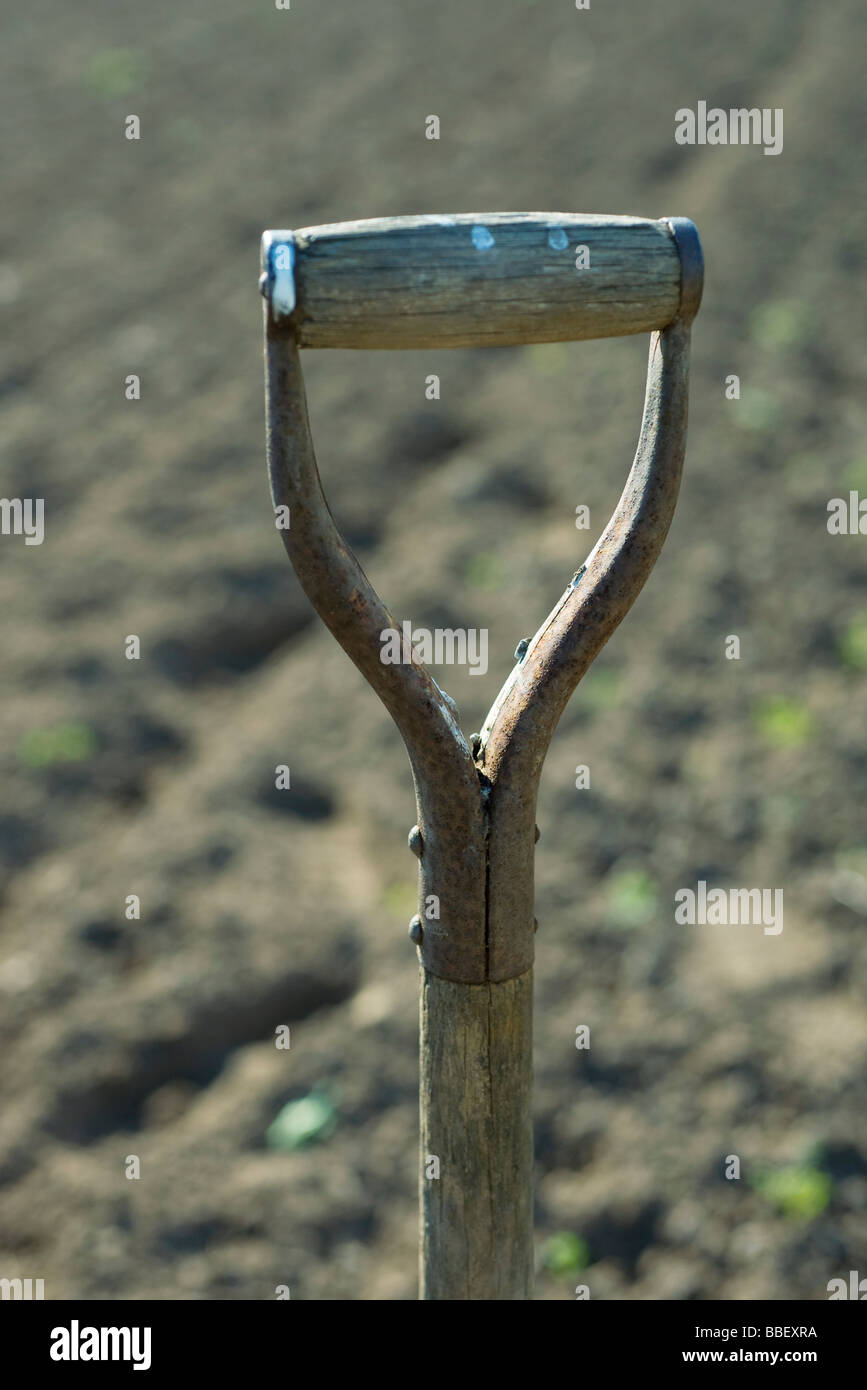 Shovel Handles High Resolution Stock Photography and Images - Alamy