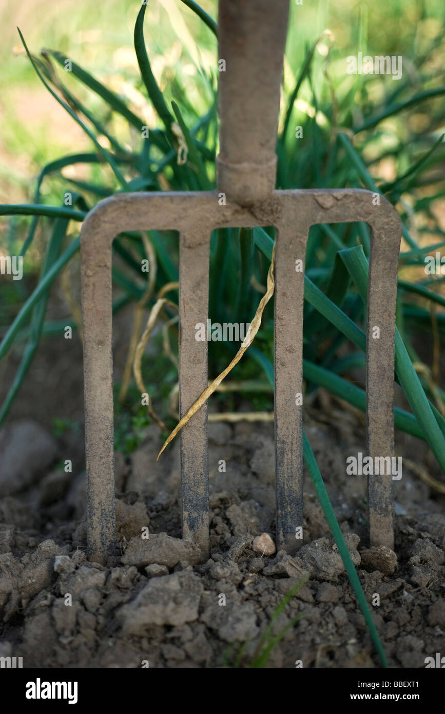 Fork images hires stock photography and images Alamy