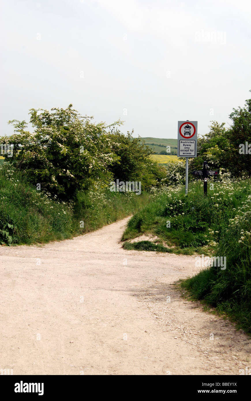 Knighton hill crossing the Ridgeway path close by to Waylands Smithy in