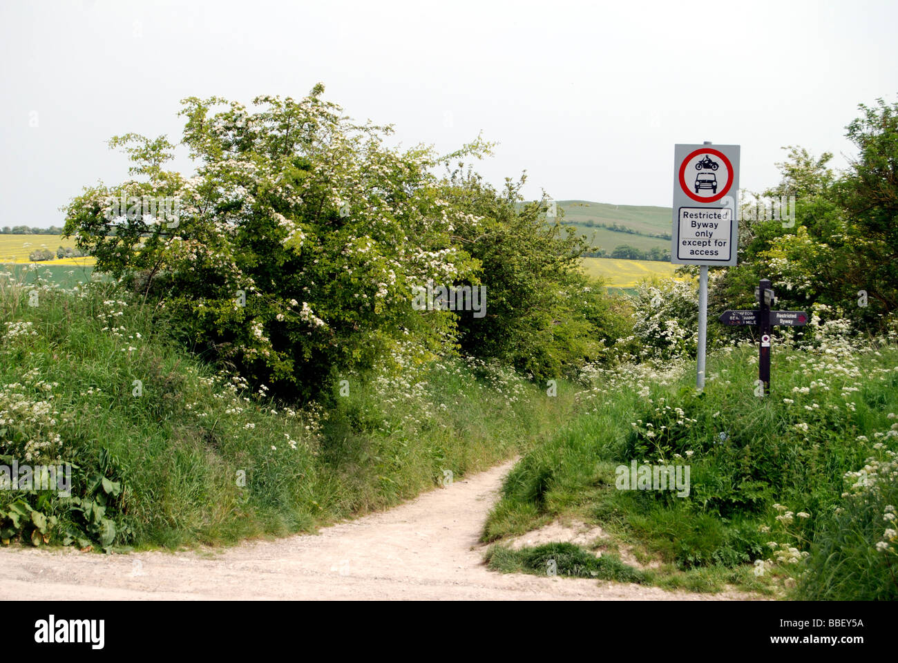 Knighton hill crossing the Ridgeway path close by to Waylands Smithy in