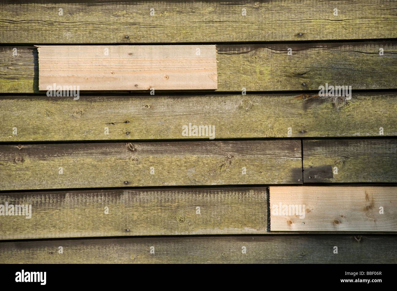 New wood being used to repair an old shed Stock Photo Alamy