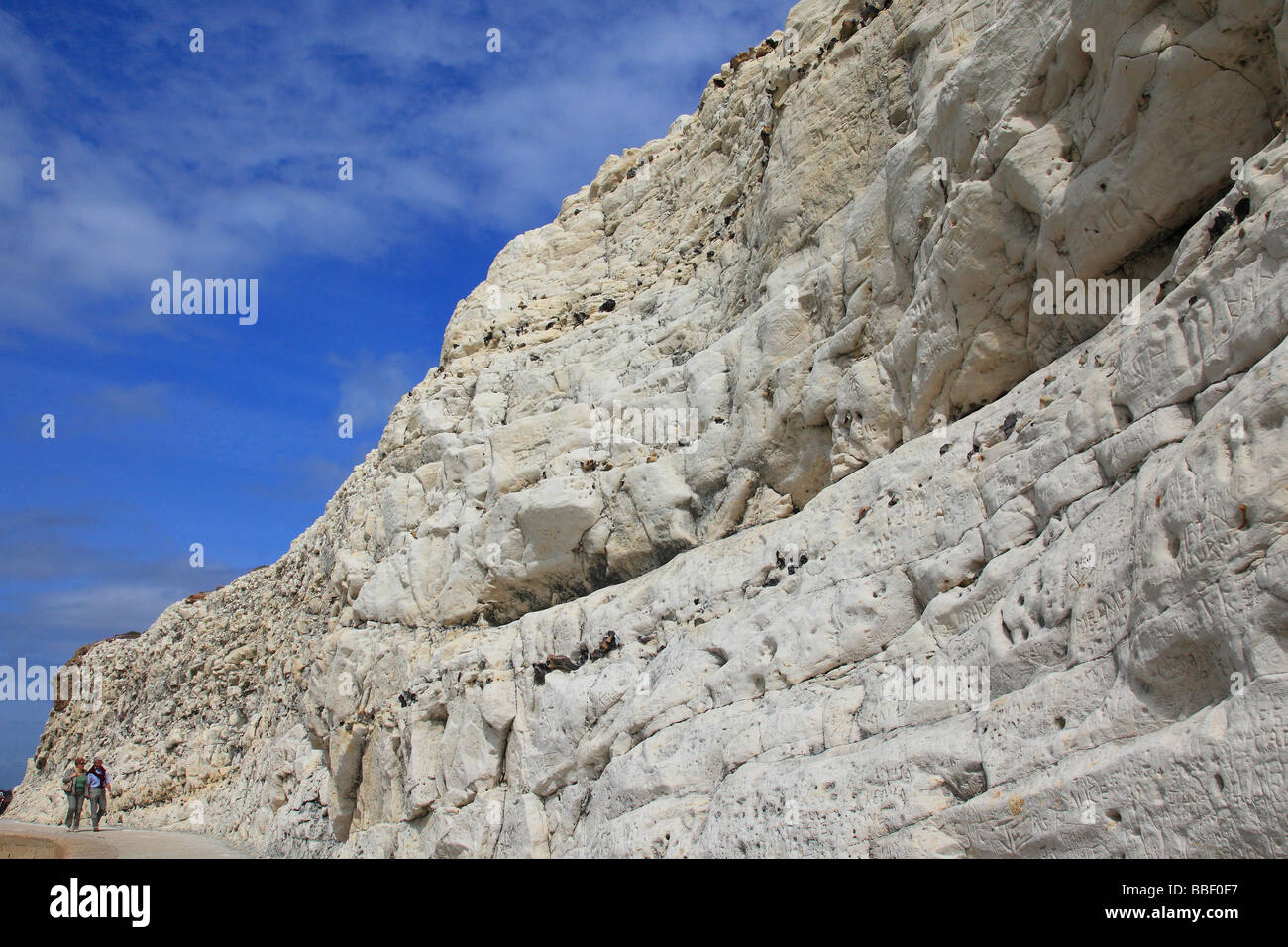 Seaford Head limestone rock East Sussex UK Stock Photo