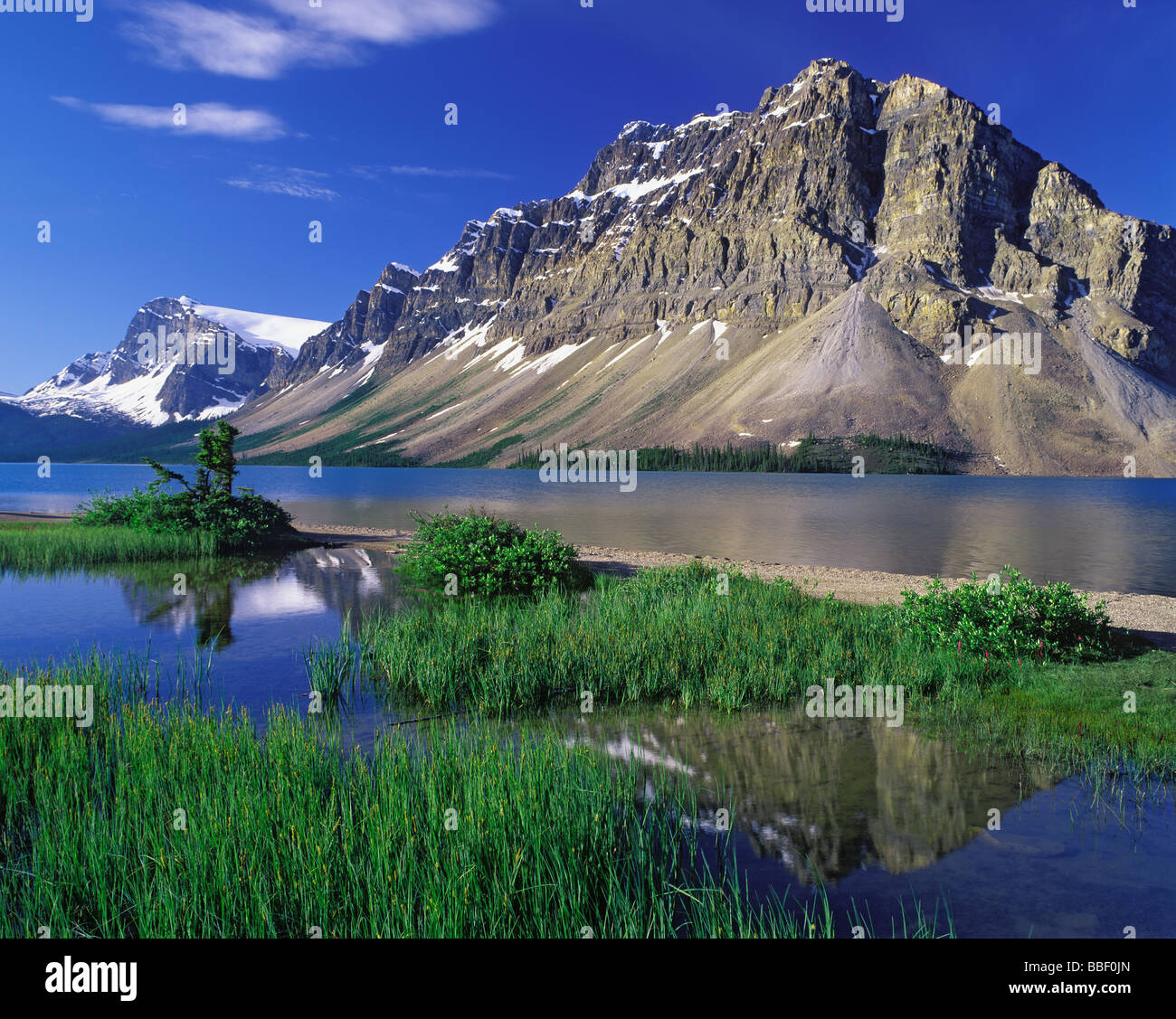 Crowfoot Mountain Reflection On Bow Lake In The Canadian Rockies Banff