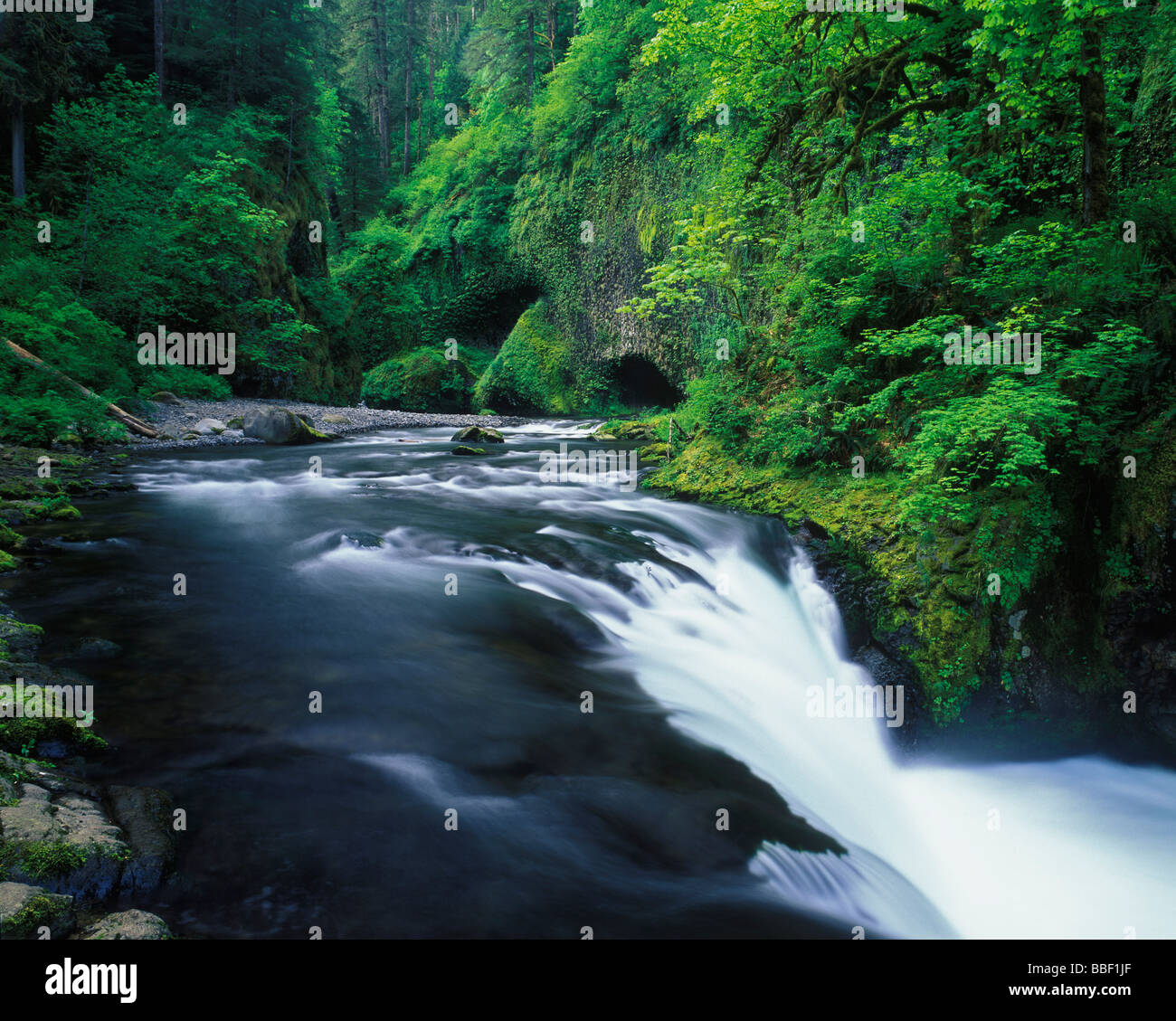Lower Punch Bowl Falls and Eagle Creek Columbia River Gorge National Scenic Area Oregon Stock Photo