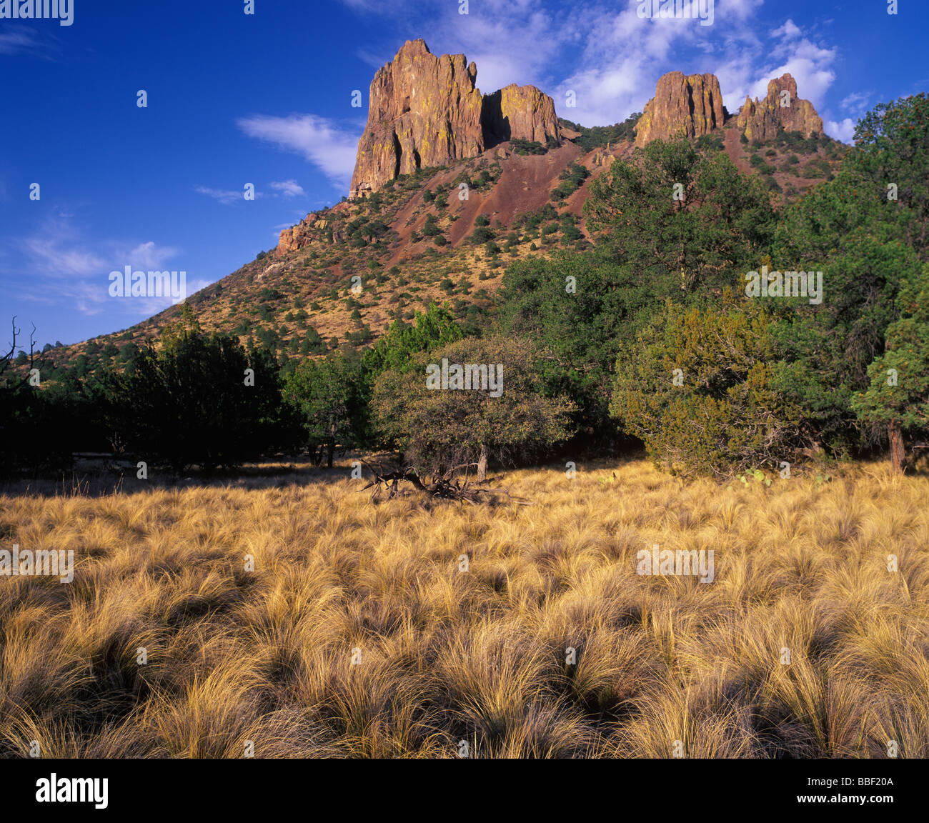 Casa Grande towering over the Stipa grass on Juniper Flats in Big Bend