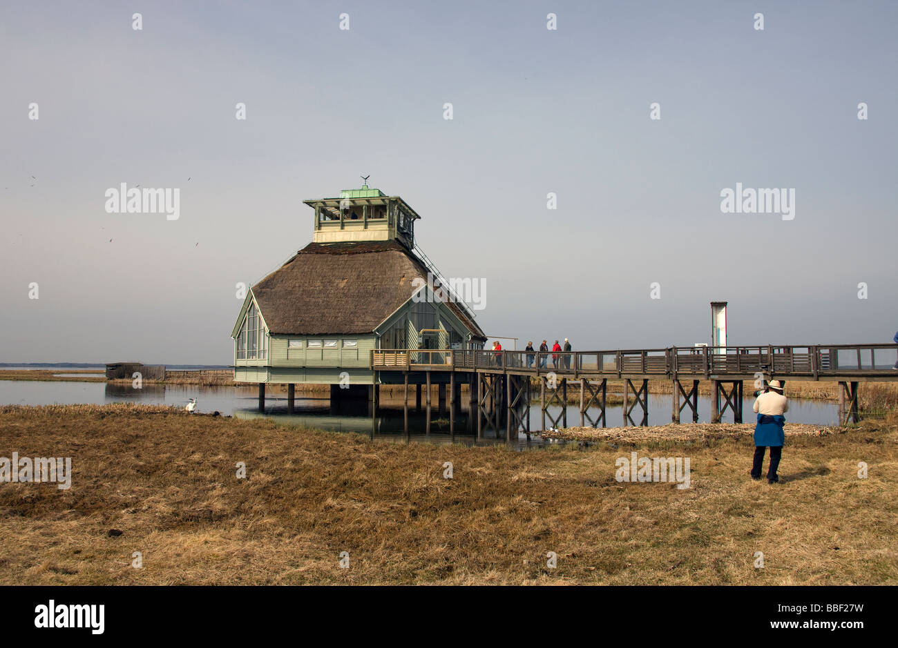 The visitor's centre, Hornborga Naturum, and boardwalk leading to it. Stock Photo