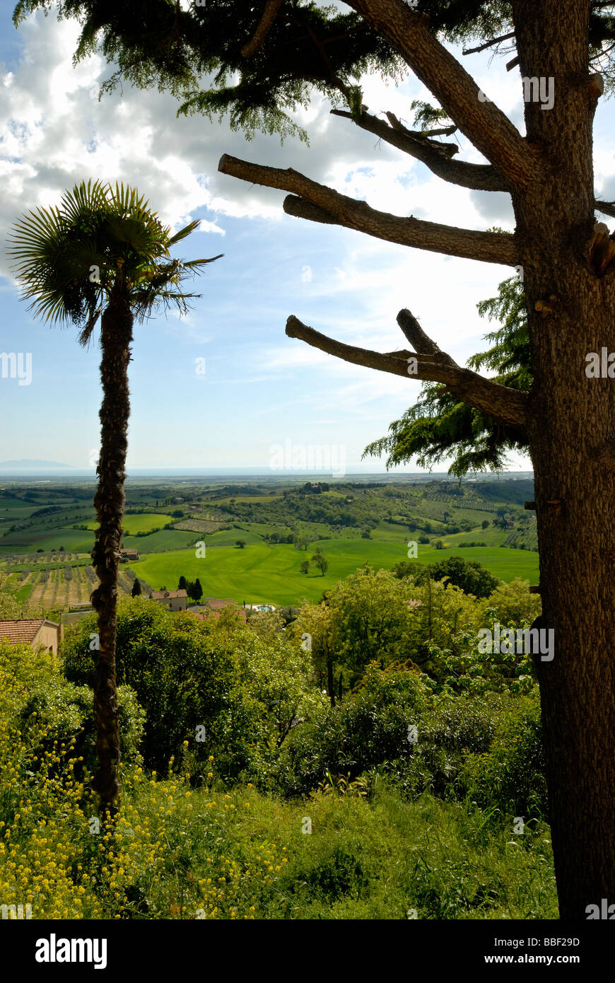 Typical Tuscany landscape with trees and farmhouse in Italy Stock Photo ...