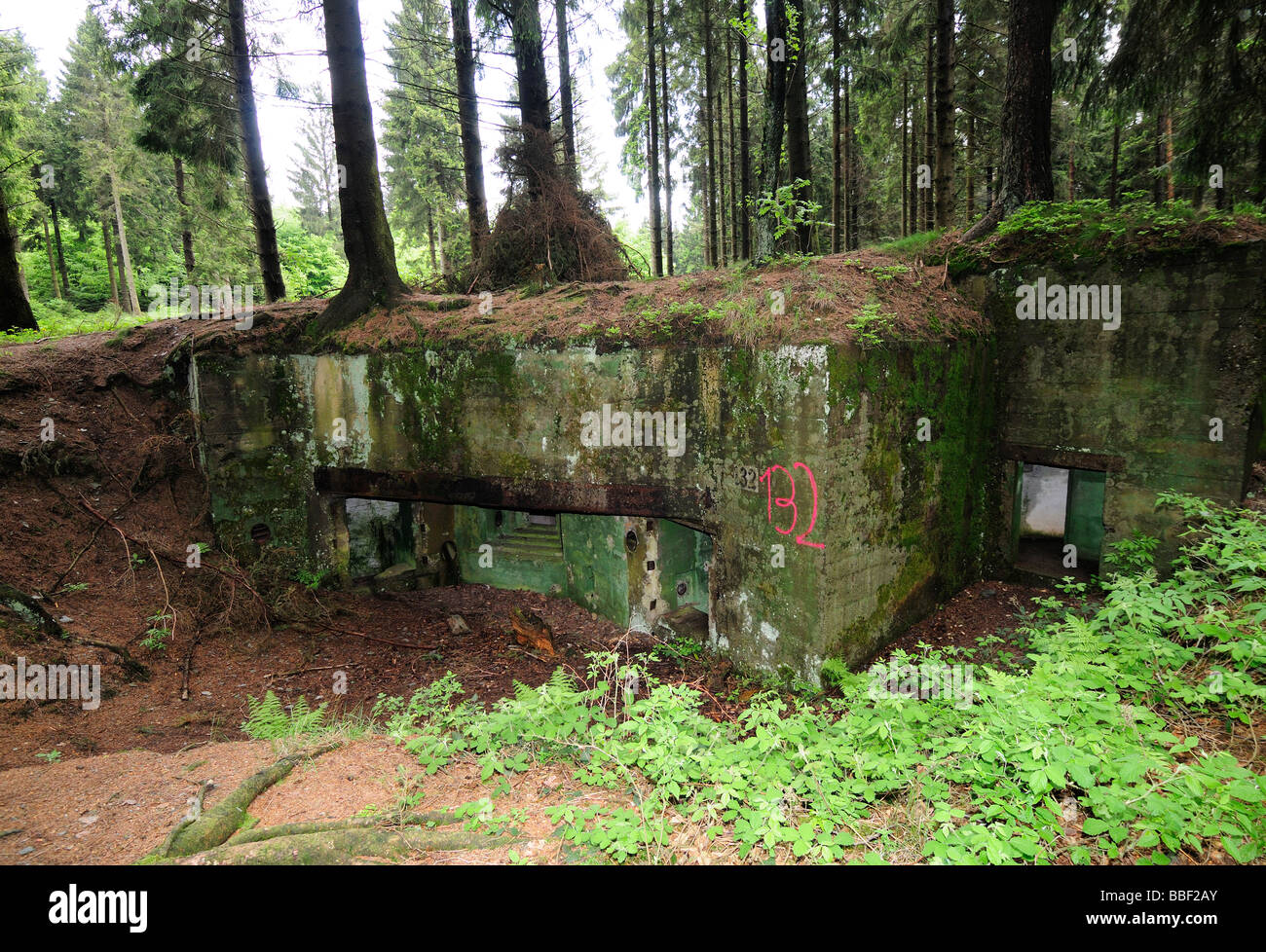 Siegfried Line German bunker in Huertgenwald Forest, Germany Stock