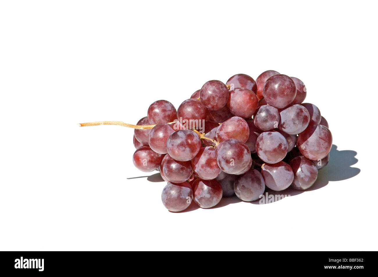 Cluster of red grapes Stock Photo