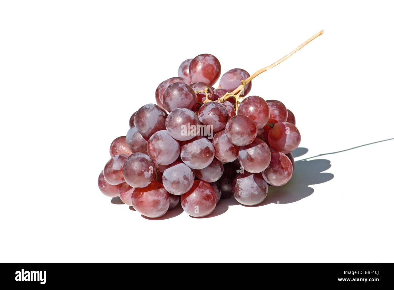 Cluster of red grapes Stock Photo