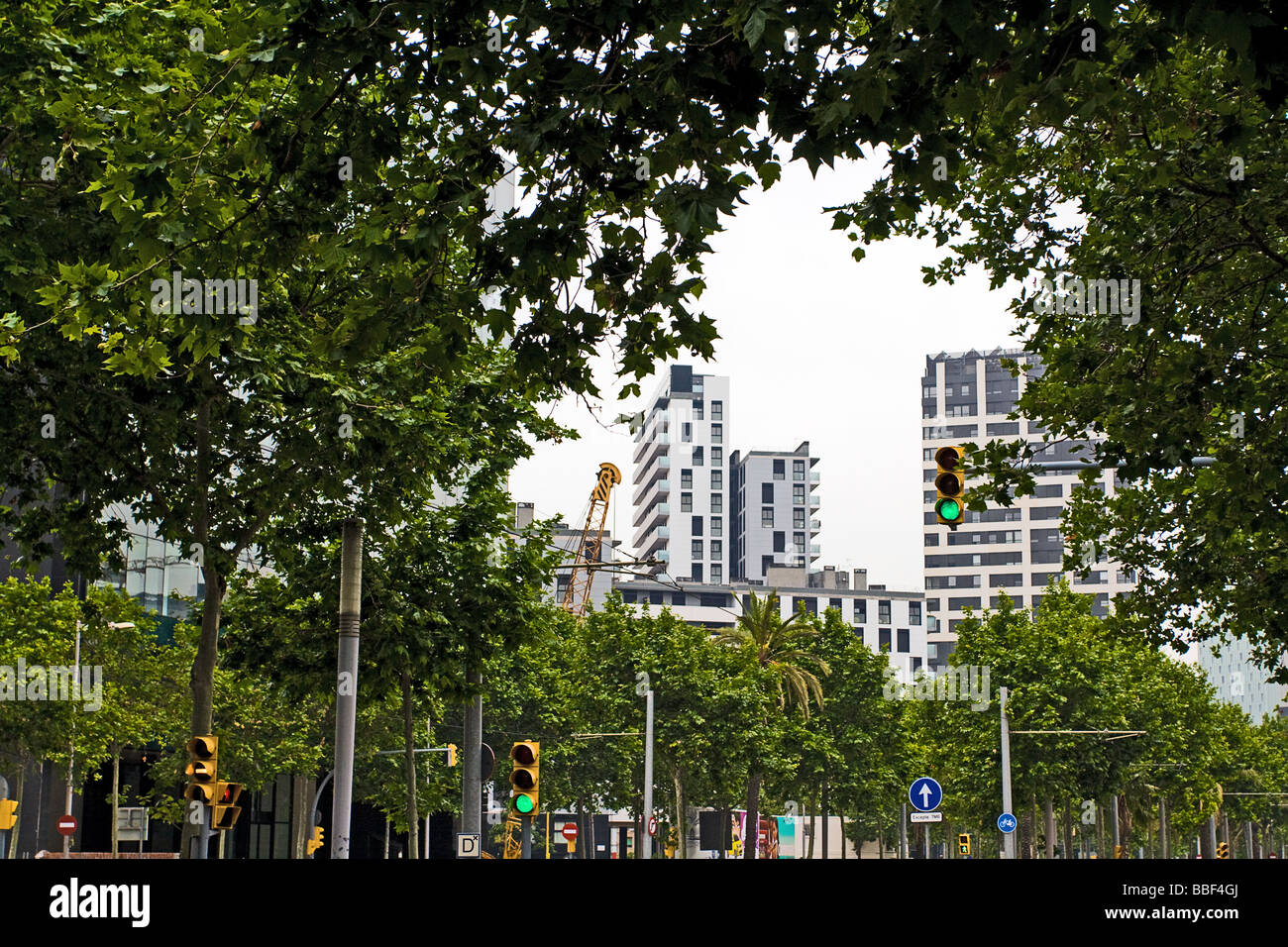 High buildings framed by trees, Diagonal Avenue (Avinguda Diagonal) Barcelona, Spain Stock Photo