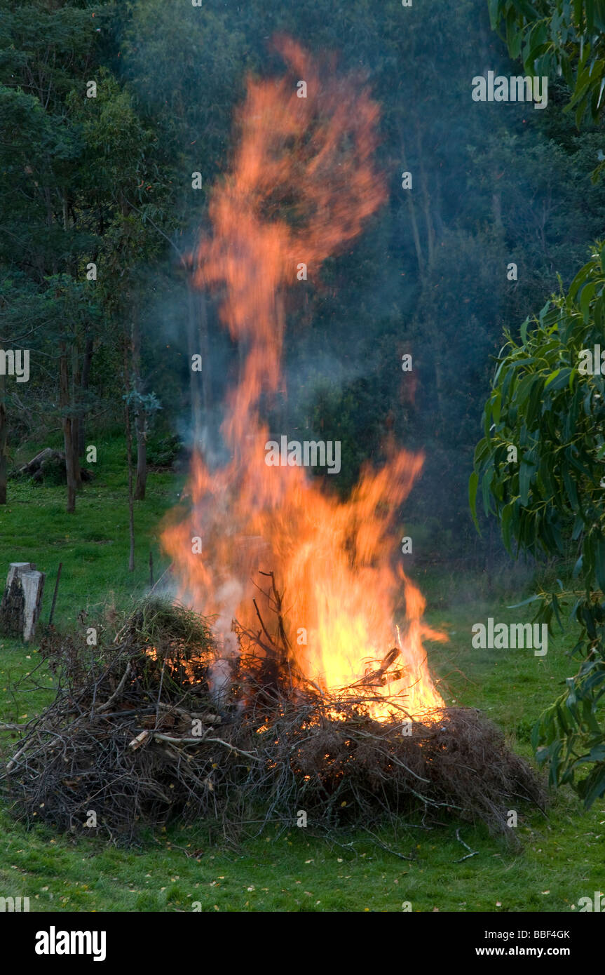 Garden bonfire Stock Photo