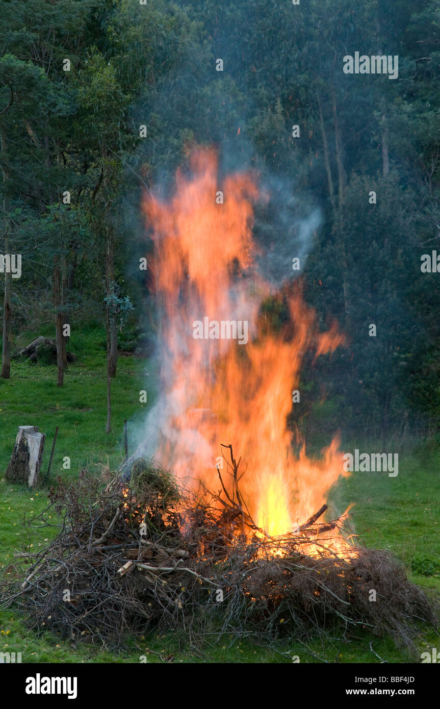 Garden bonfire backyard burn off Stock Photo
