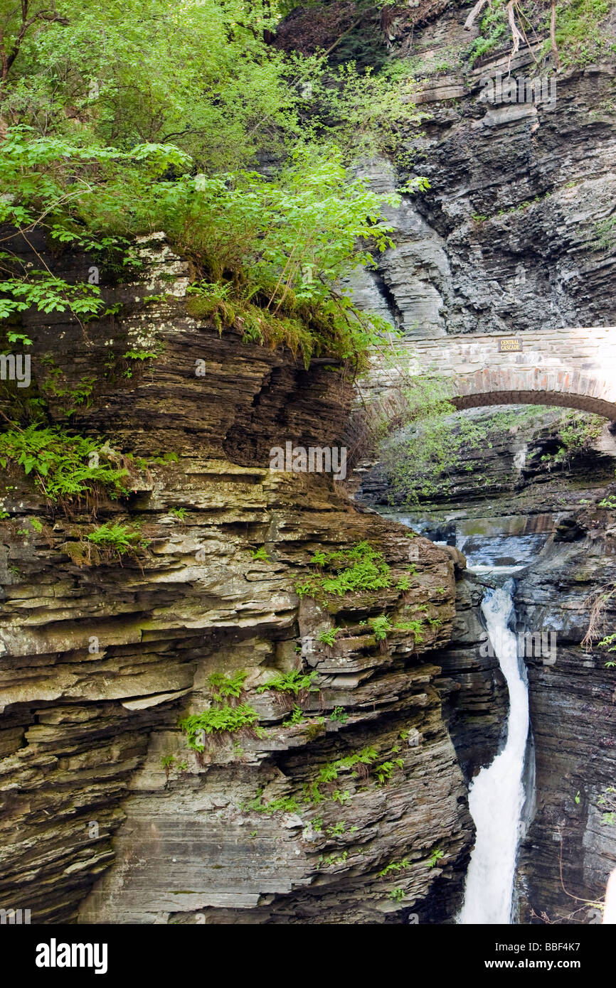 Watkins Glen: Gorge-ous New York Adventure Awaits!