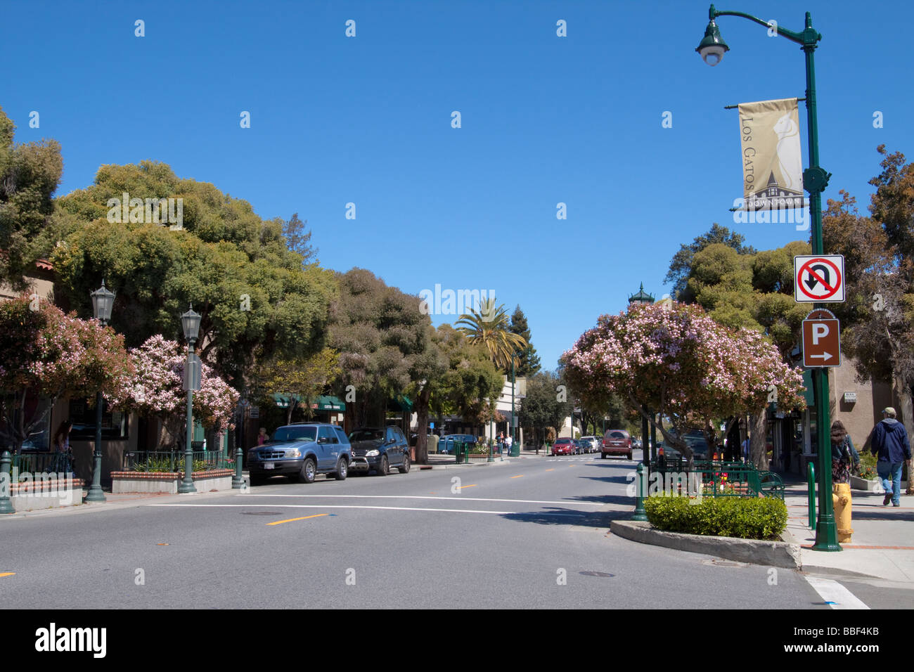 Gatos hires stock photography and images Alamy