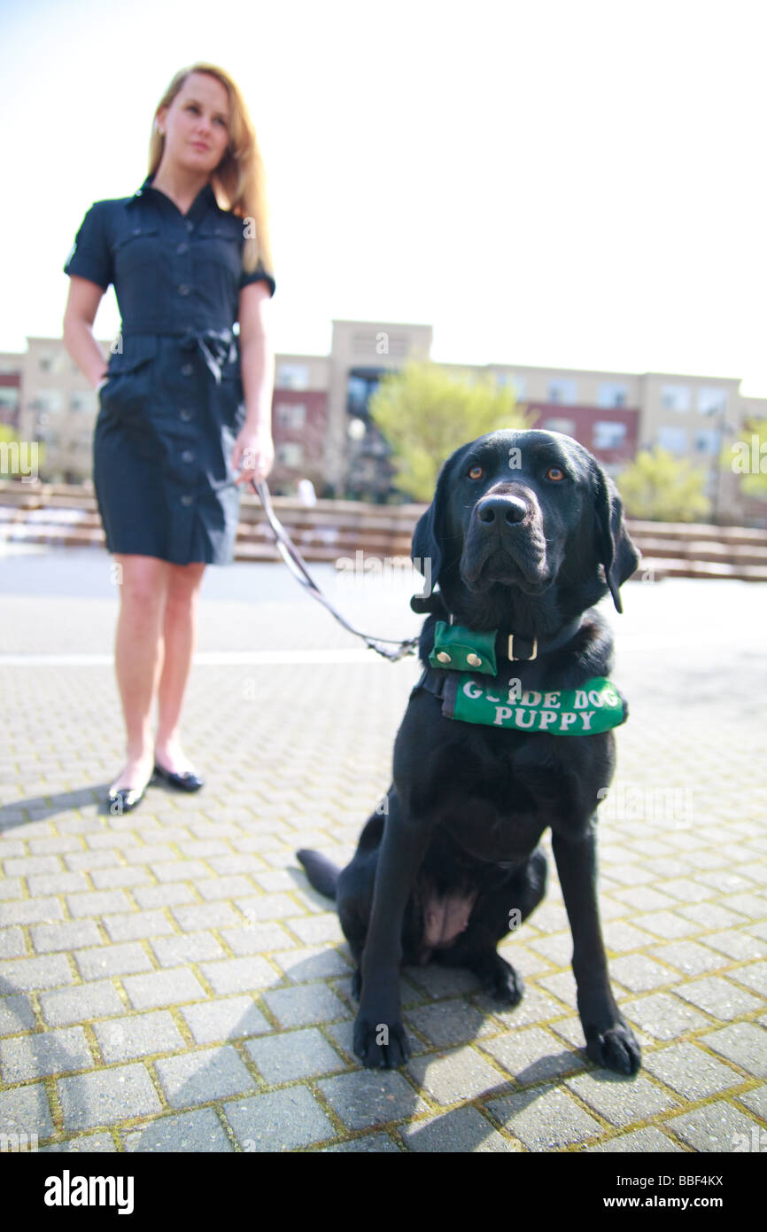 Blonde white girl black labrador hires stock photography and images