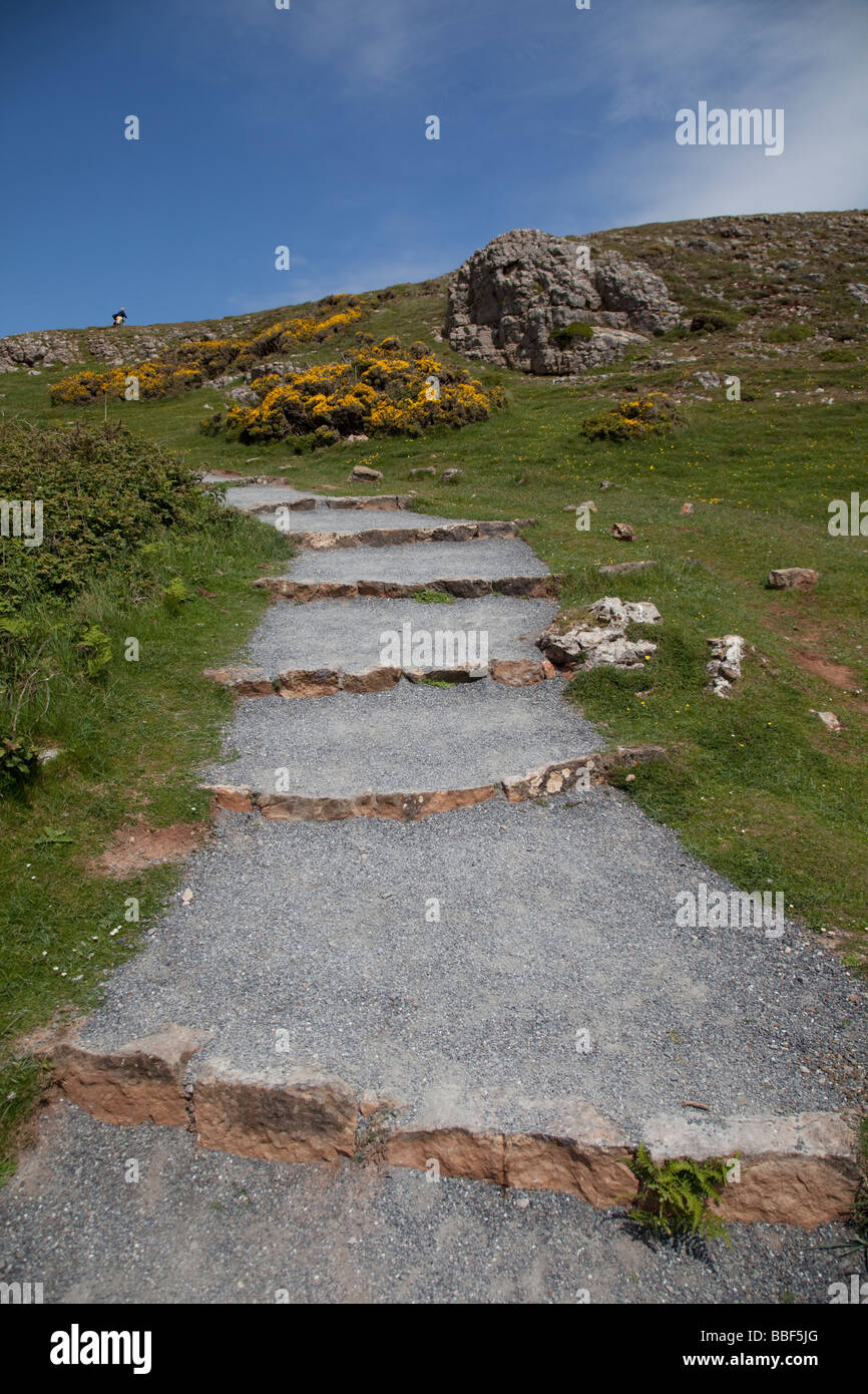 Newly surfaced main coastal cliff path with steps Worms Head The Gower South Wales UK Stock Photo