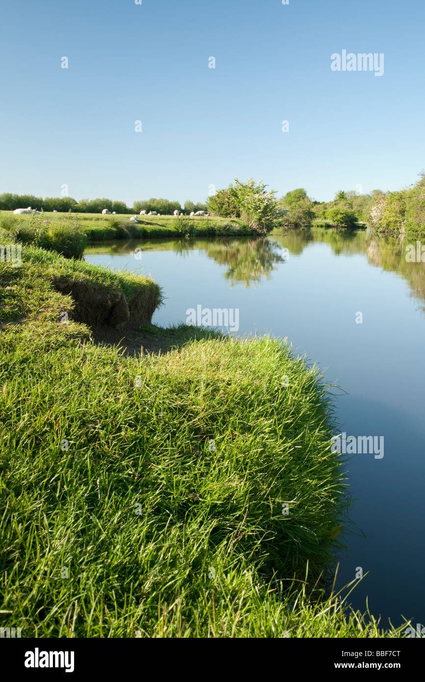 Upper reaches of the River Thames near Stanton Harcourt Oxfordshire UK Stock Photo