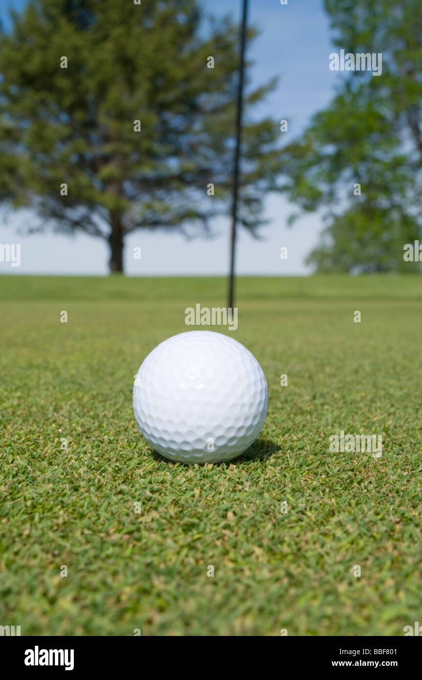 Golf ball on the putting green Stock Photo Alamy