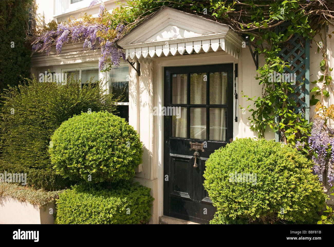 Domestic terraced town house porch with topiary box spheres in Buckingham UK Stock Photo